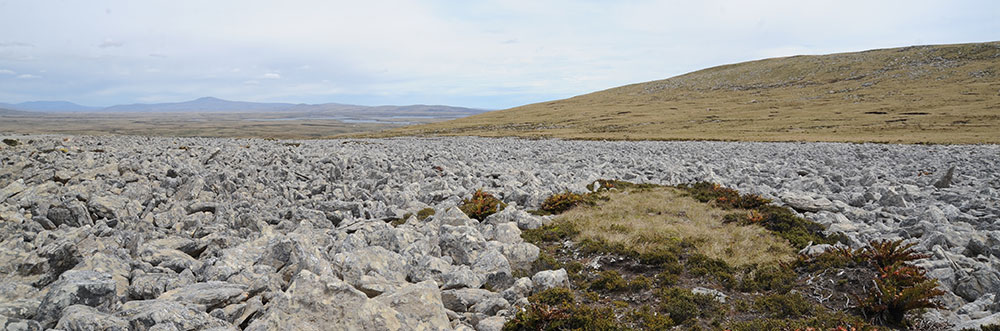 Stone run